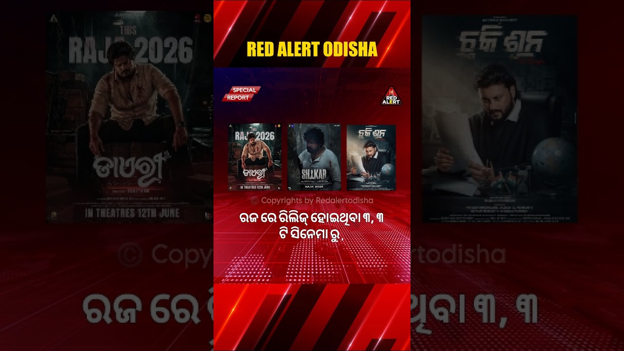 6 Odia Movies Running Successfully In This Rajo Festival
