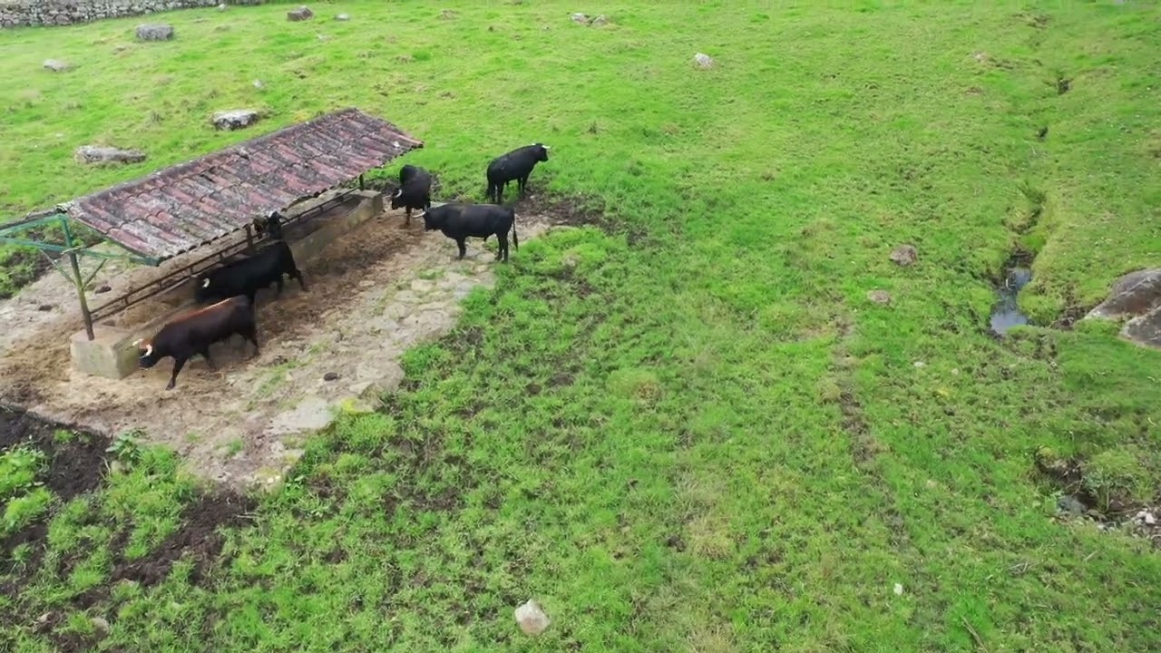 Las Ventas del Espíritu Santo - Alban Cundinamarca