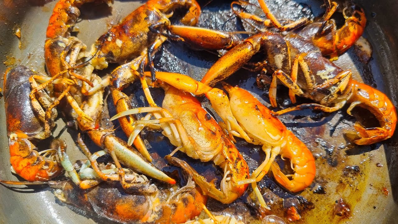 Yabby catch and cook | How to cook yabbies in a frying pan