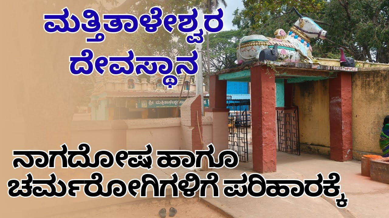 Matthithaleshwara | Mandya | Malavalli | ಮತ್ತಿತಾಳೇಶ್ವರ | ಮಂಡ್ಯ | ಮಳವಳ್ಳಿ | ಕಲ್ಲುವೀರನಹಳ್ಳಿ #shorts