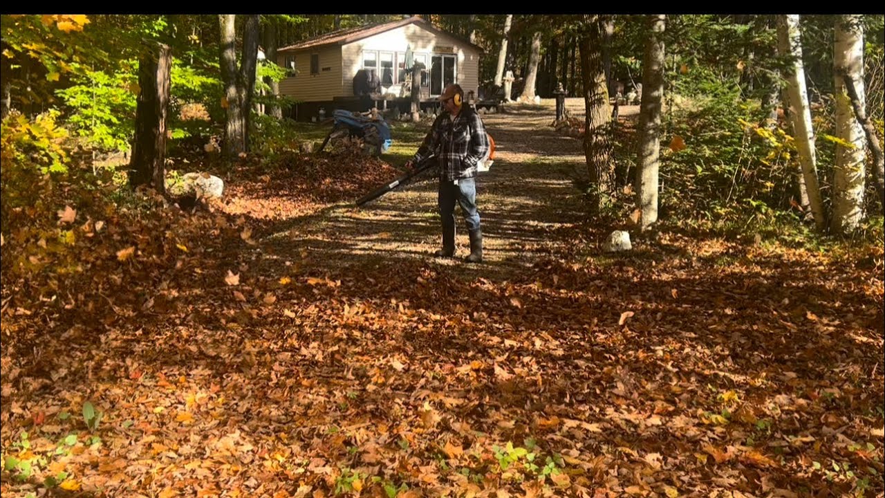 Stihl BR600 Backpack Leaf blower - 3 years and still love it. 