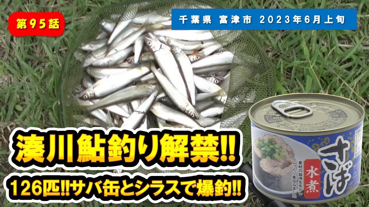 【千葉県 富津市】鮎のエサ釣りのコツが分かる。簡単!!サバの缶詰・釜揚げシラスを使ったコマセの作り方も解説『小鮎釣り/湊川/鮎釣り解禁日』