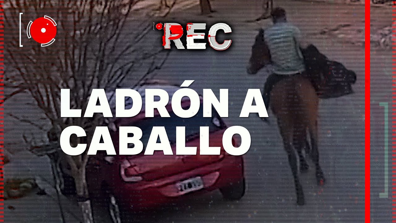 LADR&Oacute;N A CABALLO - LADRONES OLVIDAN AL C&Oacute;MPLICE - 🔴REC