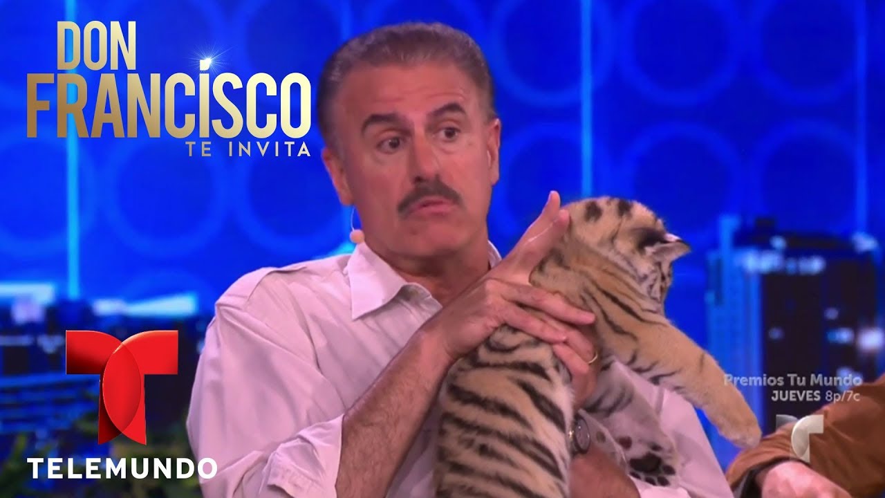 Ron Magill dio una lección en animales salvajes | Don Francisco Te Invita | Entretenimiento