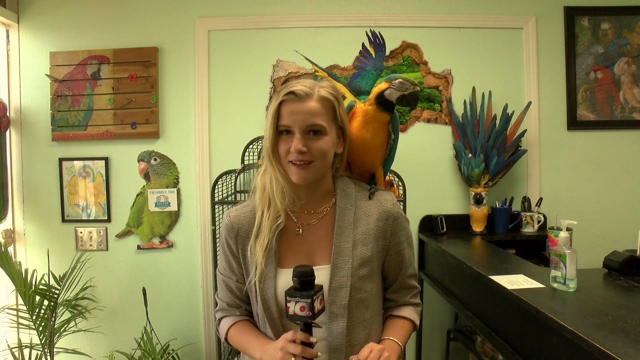 Franchise Reporter Reel, Penny Kmitt