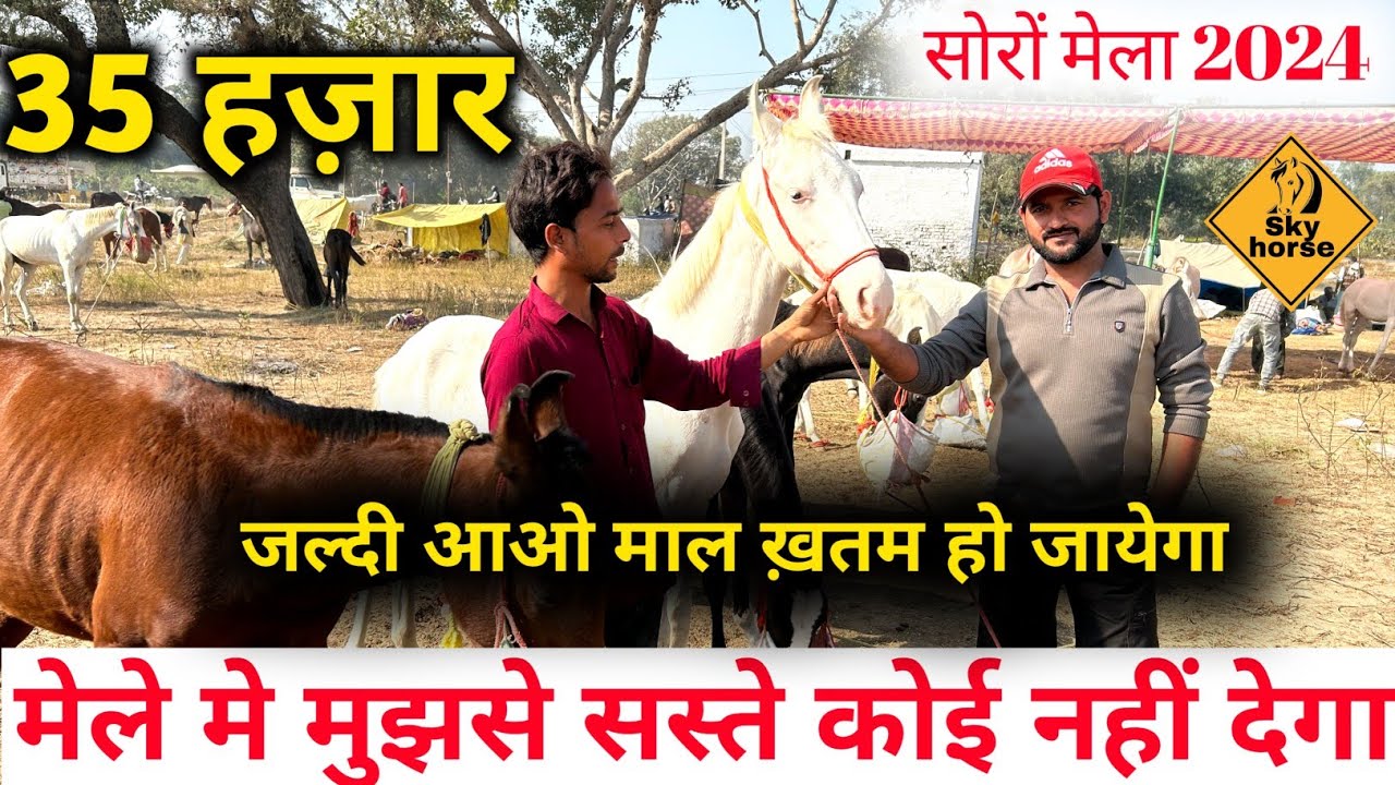 मेले में मुझसे सस्ते बच्चे कोई नहीं देगा |  #soronmela2024