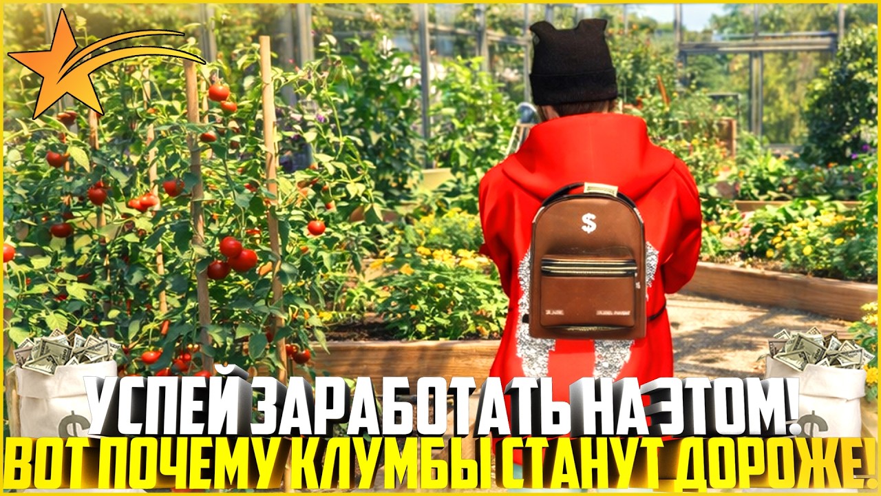 ВОТ ПОЧЕМУ КЛУМБЫ СТАНУТ В РАЗЫ ДОРОЖЕ! УСПЕЙ ЗАРАБОТАТЬ НА ЭТОМ НА ГТА 5 РП! - GTA 5 RP