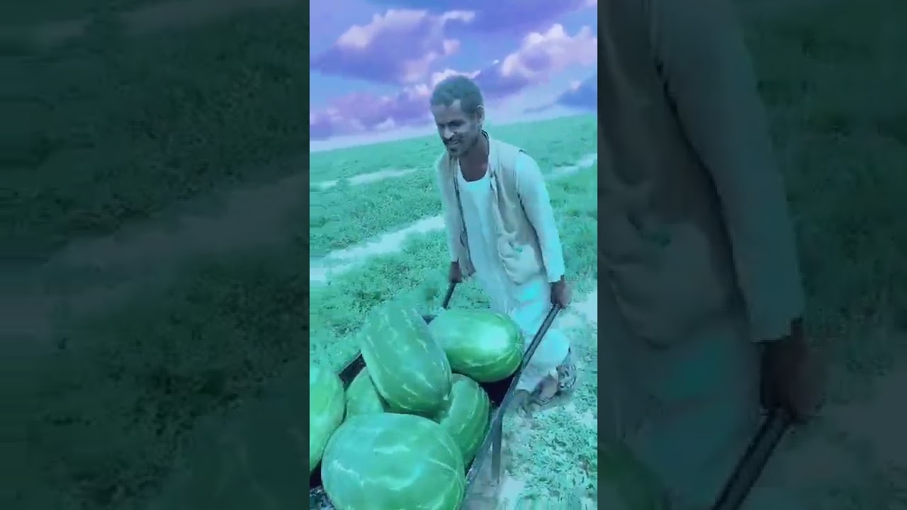 التحيه ليكم وكل عام وانتم بخير #عاشق المستحيل