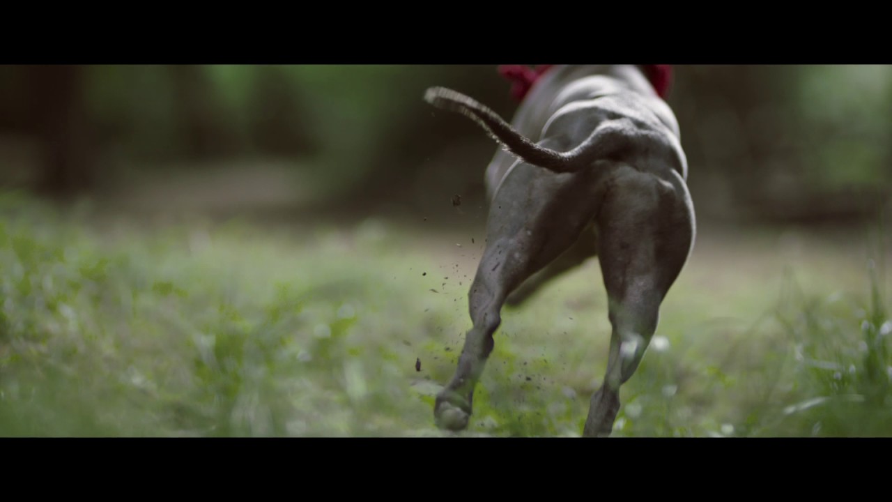 Mini for Nowness: Add Stories