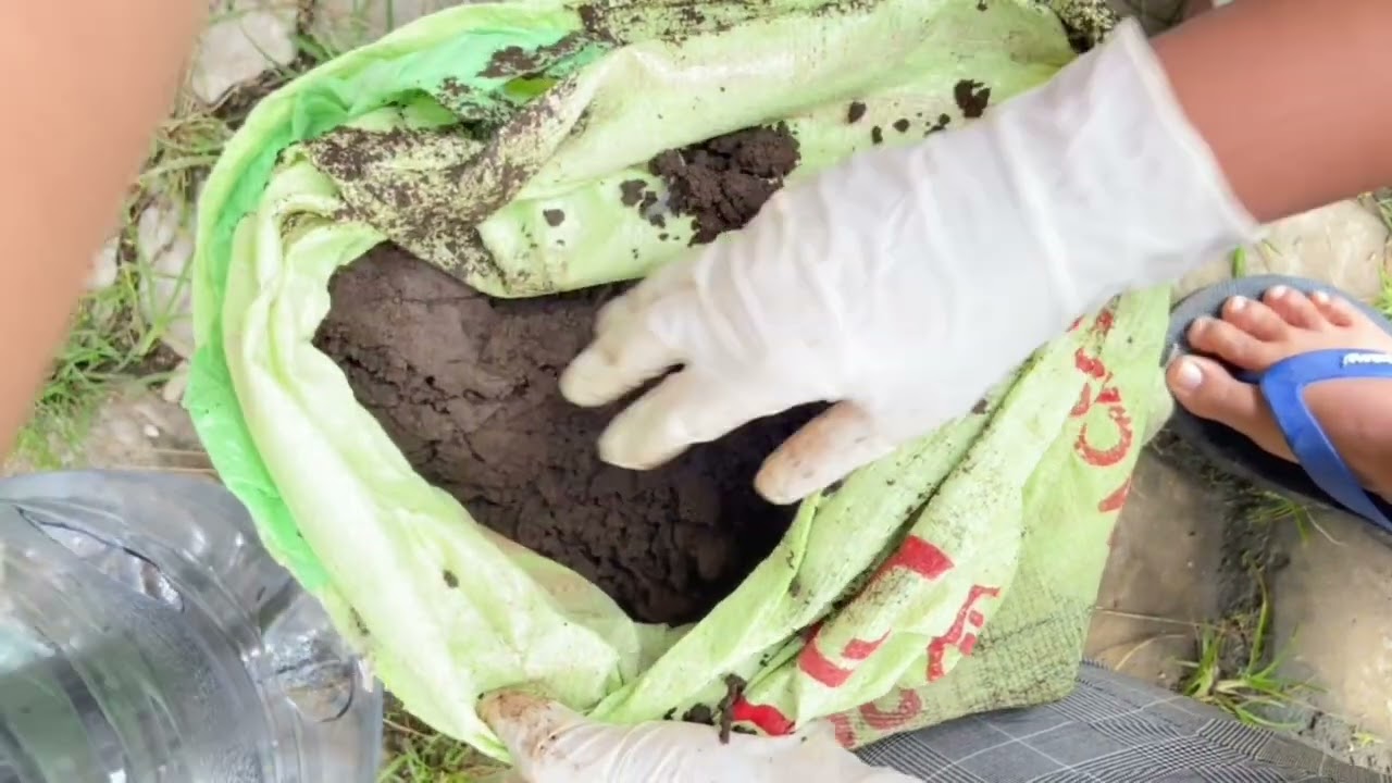 POKOKE LESTARI: Pengelolaan Sampah Organik Melalui Komposting | KKN 106 Desa Tanjakan