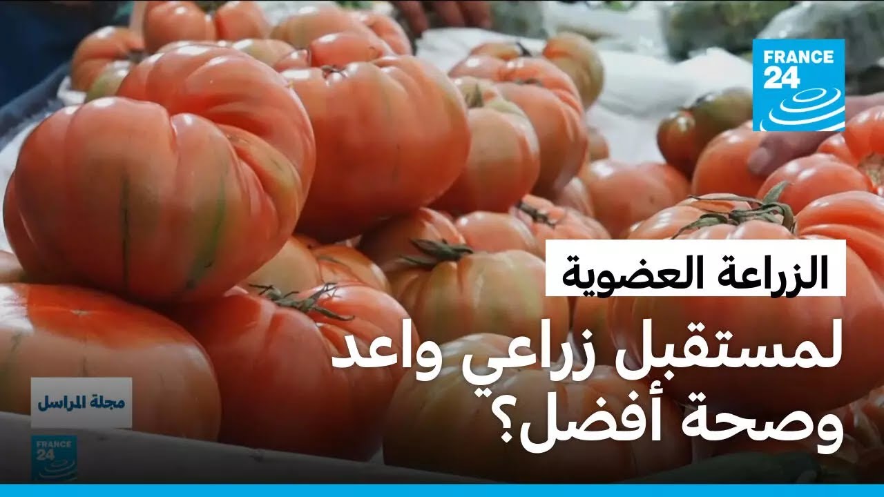 ماذا نأكل؟ هل المنتجات والزراعات العضوية هي الحل لصحة أفضل؟ • فرانس 24 / FRANCE 24