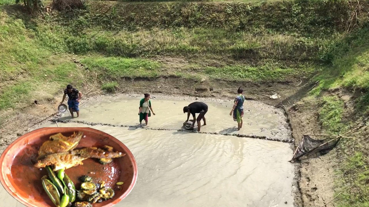 আজ সবাই মিলে পুকুরে মাছ ধরলাম