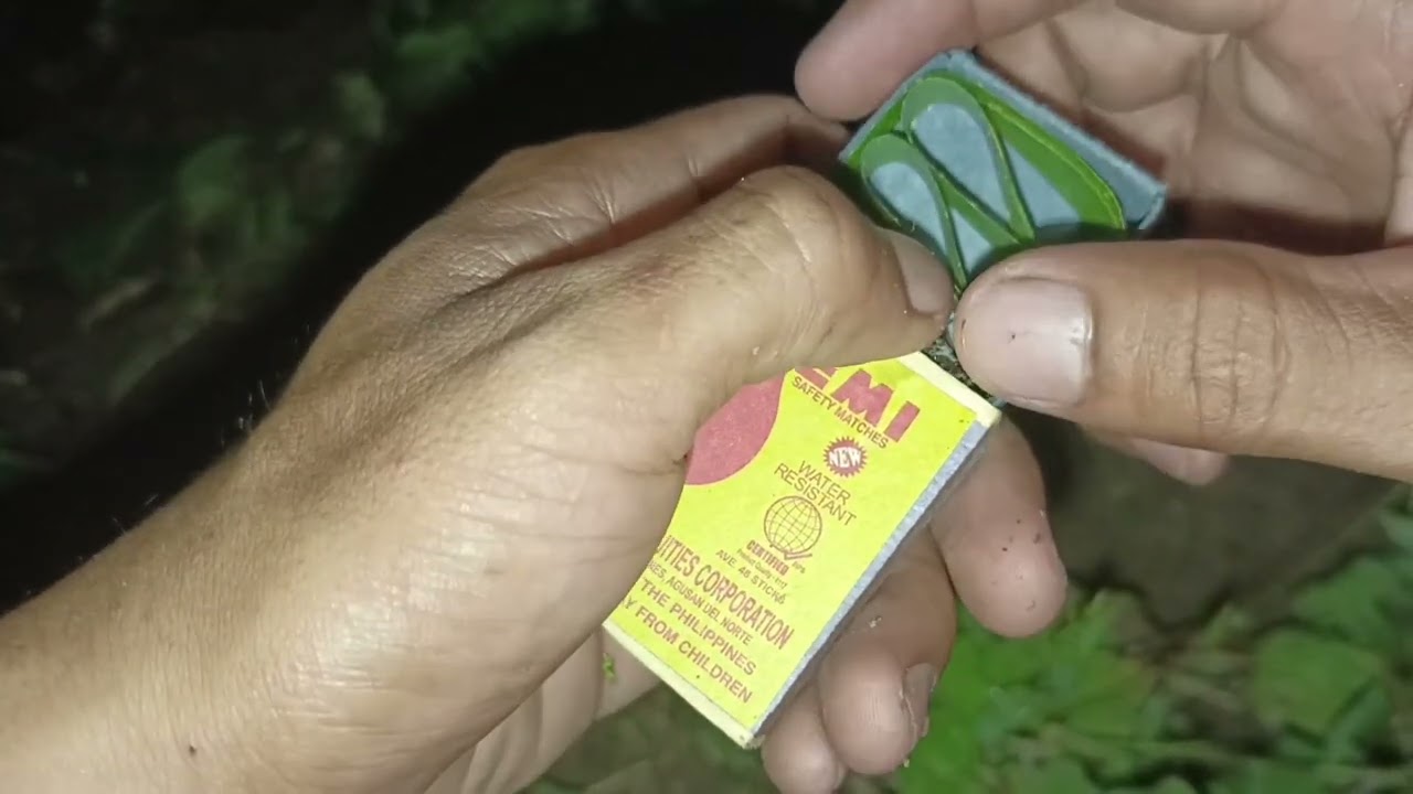 HALIMAW NA GAGAMBA 😱🕷️🕸️ SOLO HUNTING 😀 #viralvideo #nature #gagambafight #shortvideo #shorts