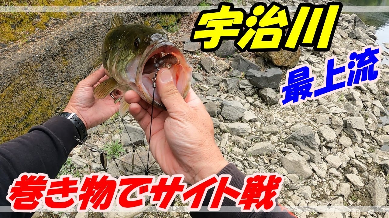 【宇治川】春の最上流を巻物で攻める！【バス釣り】