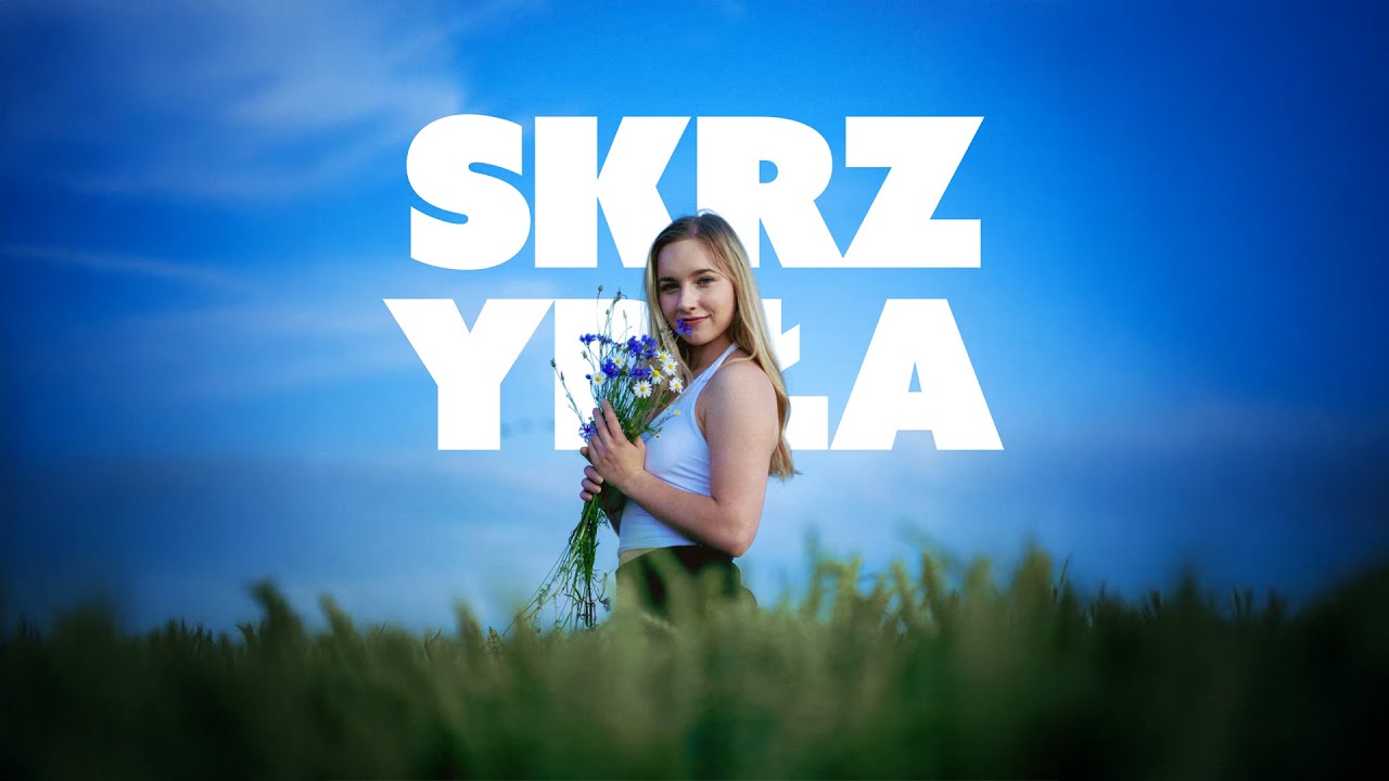 Alicja Dąbrowska - Skrzydła