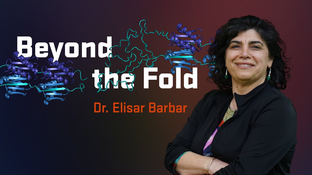 Elisar Barbar - 