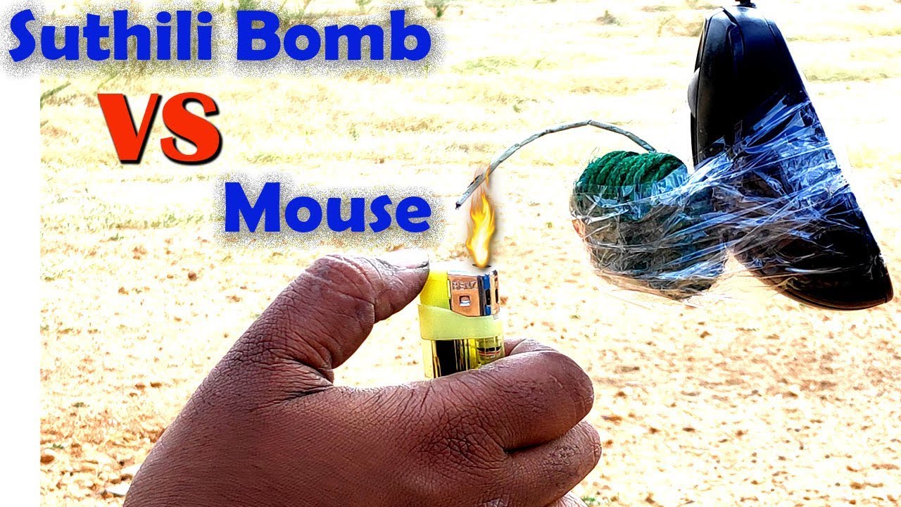 Sutli bomb vs mouse | Sutili Bomb Experiments | science experiments with Crackers