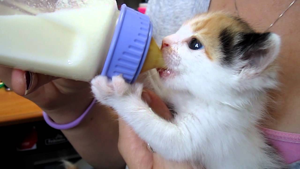 Feeding time