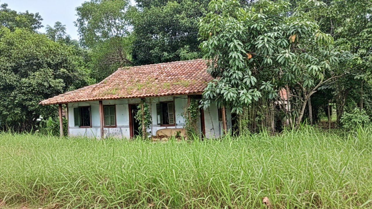 DEIXARAM A CASA MOBILHADA POREM DIFÍCIL E TER CORAGEM DE ENTRAR NA DENTRO 😲