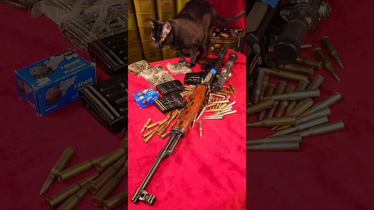 Dragunov SVD Tiger