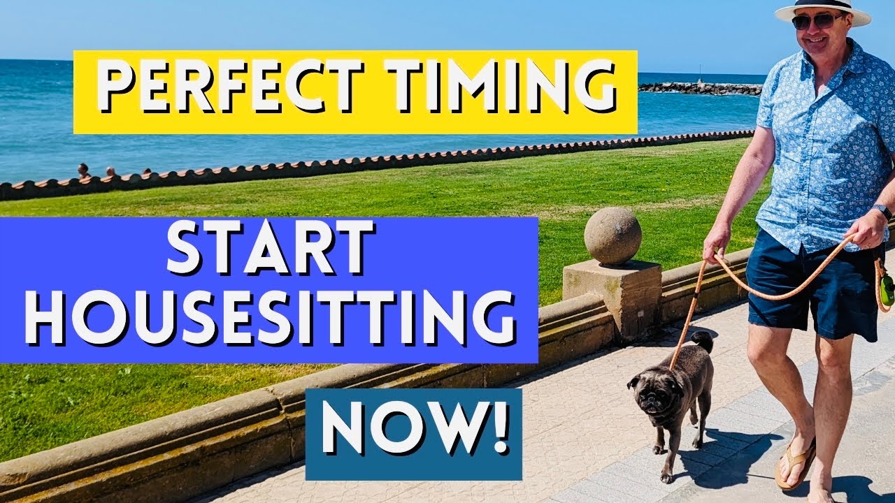 Why This Is the Best Time to Start House Sitting