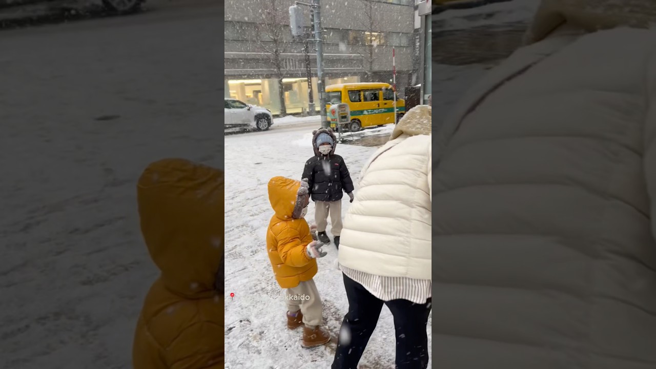 Winter in Sapporo, Hokkaido, Japan (December 2024) #sapporo #hokkaido #japan #sapporowinter