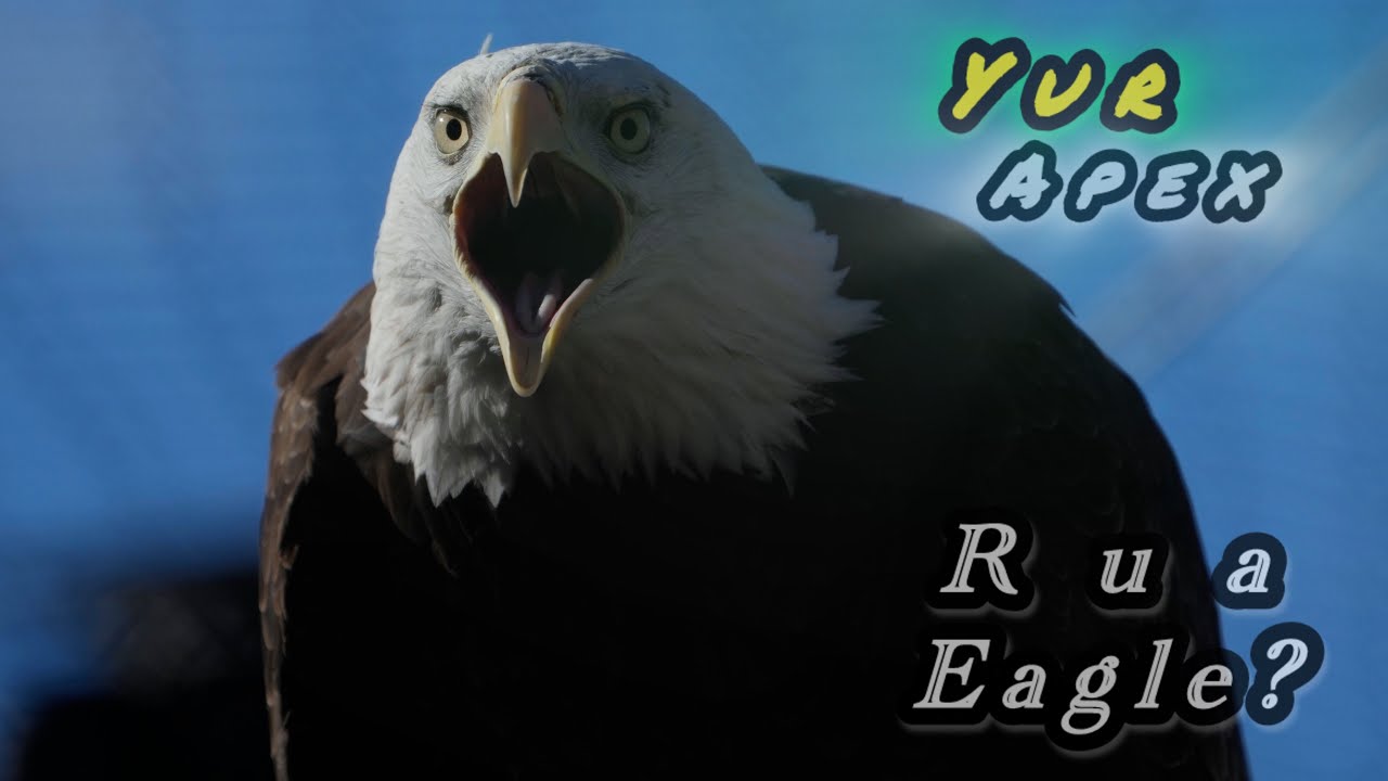 YURAPEX: The Eagle 🦅 (Balance & Perspective) 