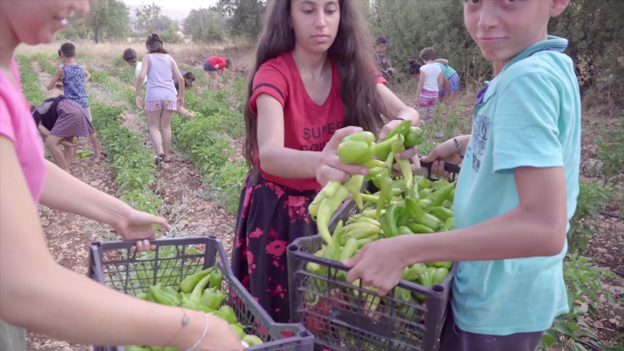 DA Kaş 2019 - Alternatif Kamp 3.Hafta - Diyarbakır Rengarenk Umutlar Derneği Haftası