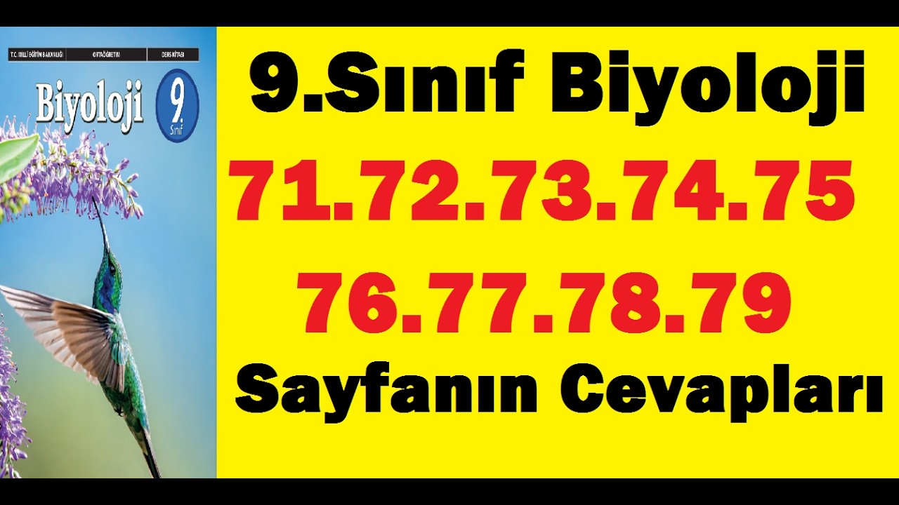9.sınıf biyoloji ders kitabı sayfa 71 72 73 74 75 76 77 78 79 cevapları pdf çözümleri meb