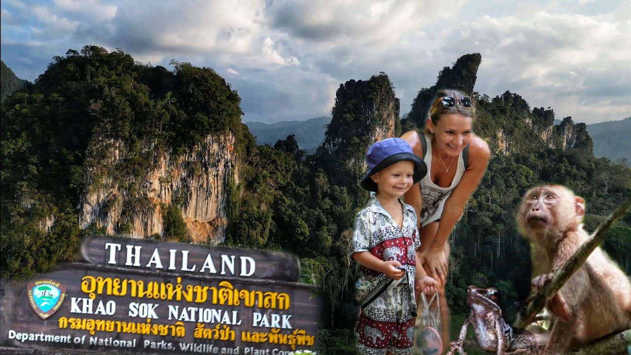 Dschungel Abenteuer 🐒 im KHAO SOK NATIONALPARK |  🇹🇭 Thailand Vlog # 11 | 4K
