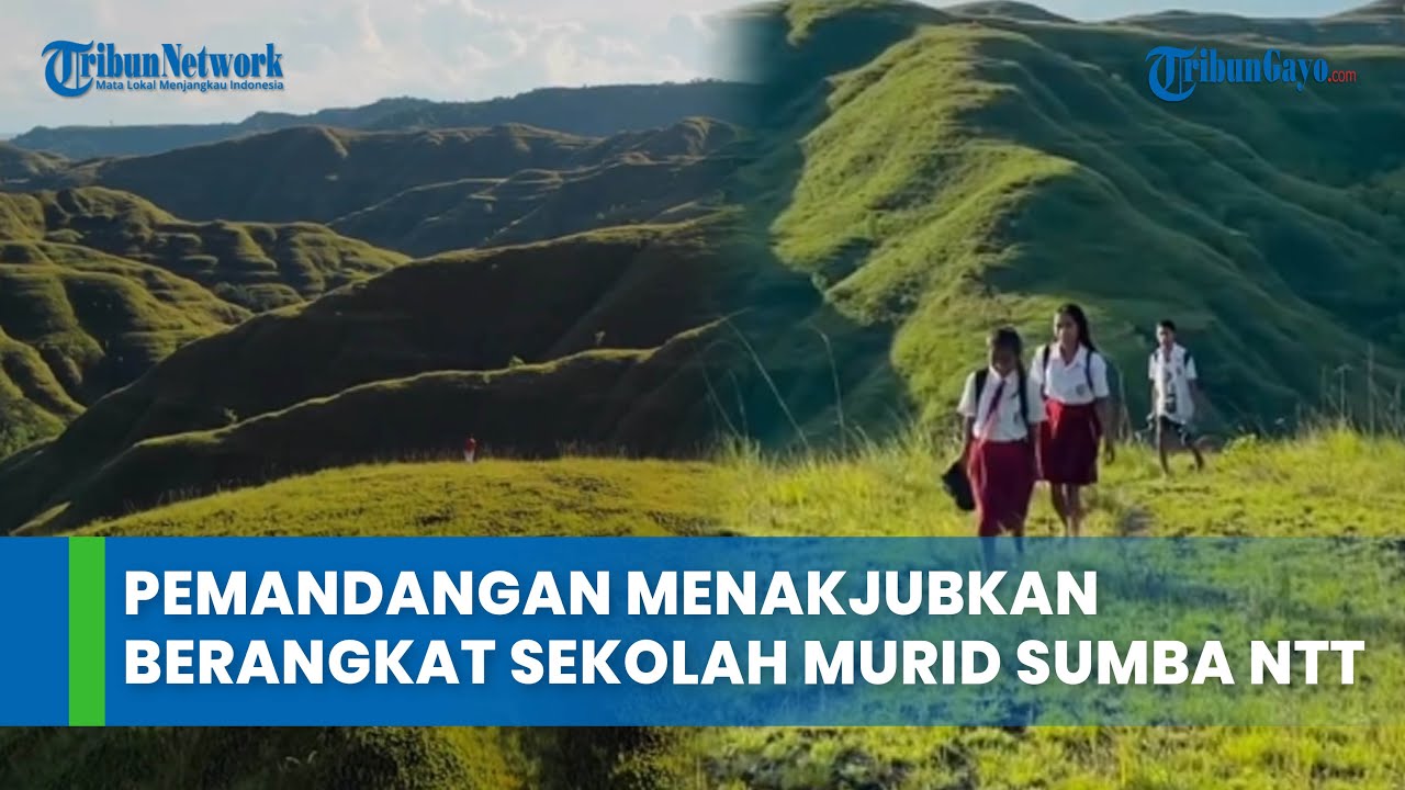 Pemandangan Menakjubkan Berangkat Sekolah Murid Sumba NTT