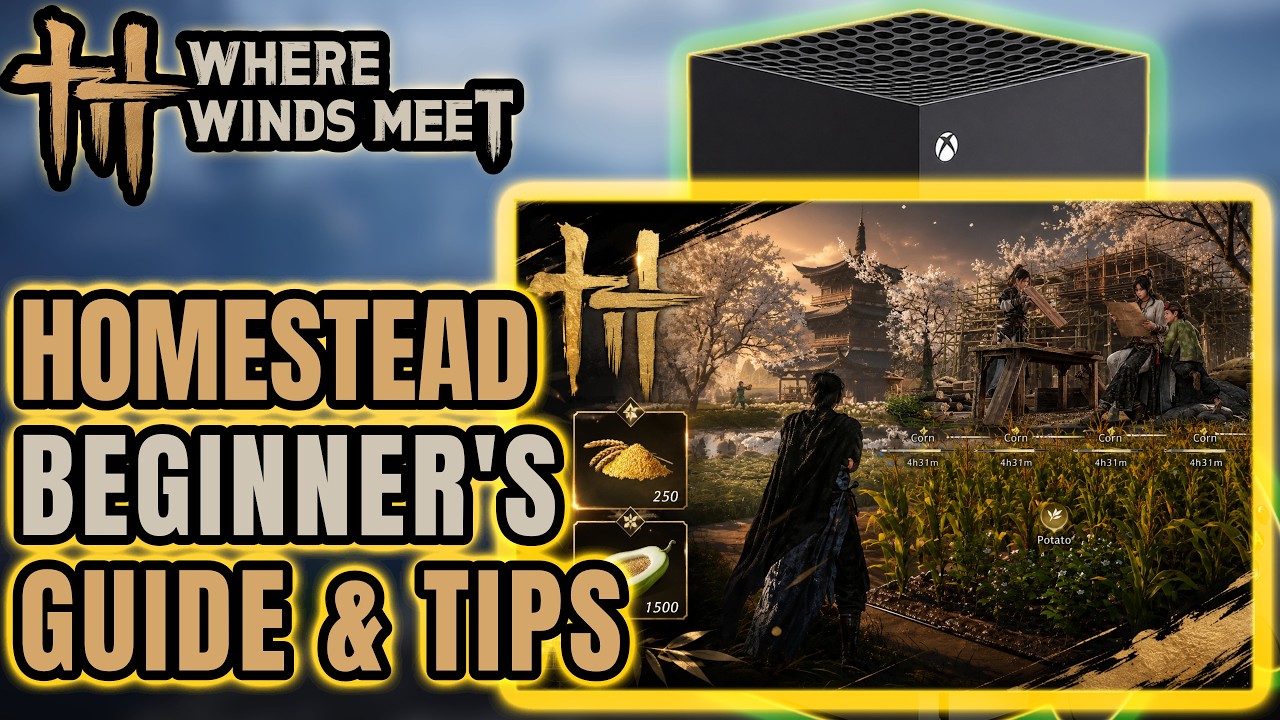 WHERE WINDS MEET: The HOMESTEAD Building System BEGINNER'S Guide!