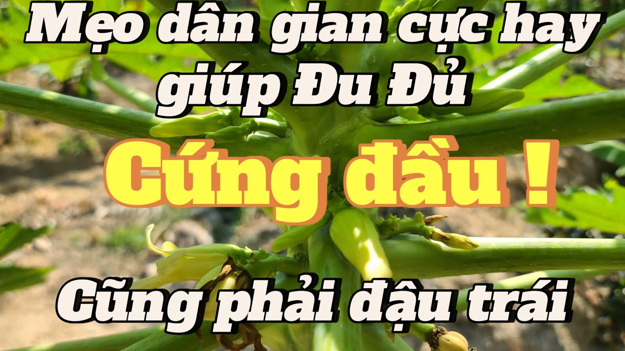 EP 14 : 