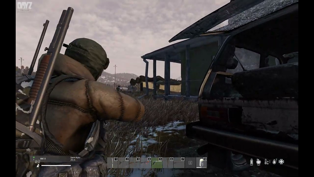 DayZ Exp