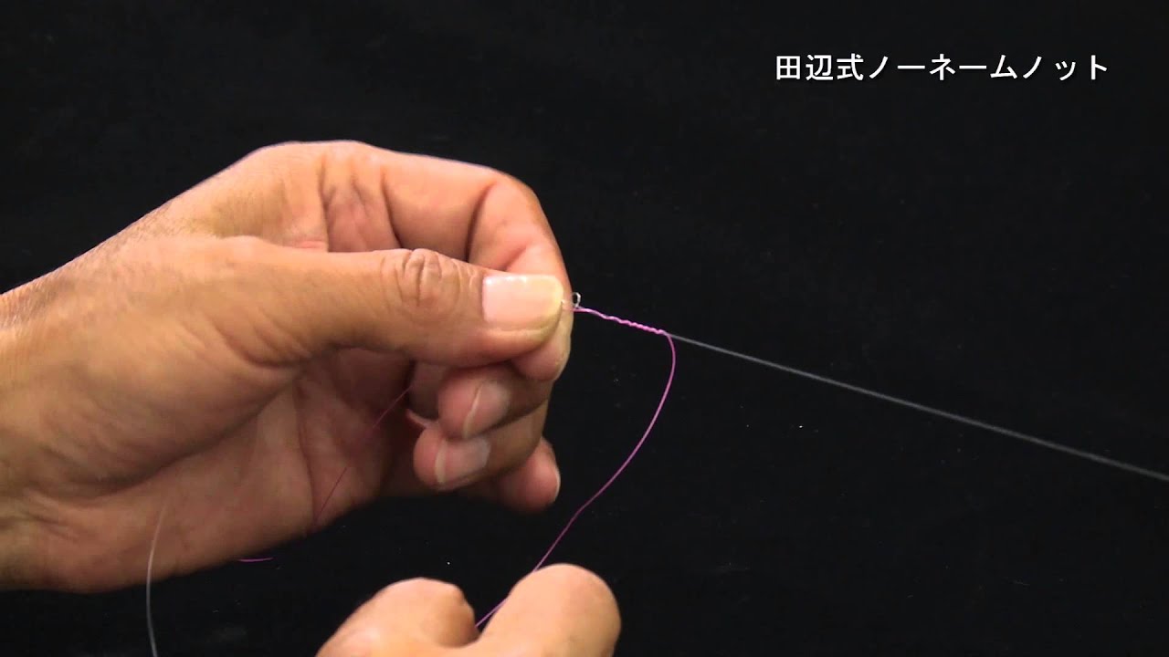 シーガーノット動画(田辺 哲男)