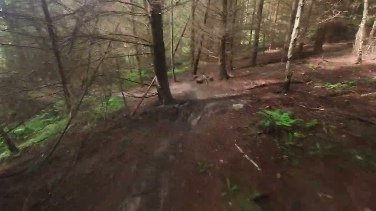 Hidden trails at Hamsterley Forest on the SB150, a fantastic day's riding👌