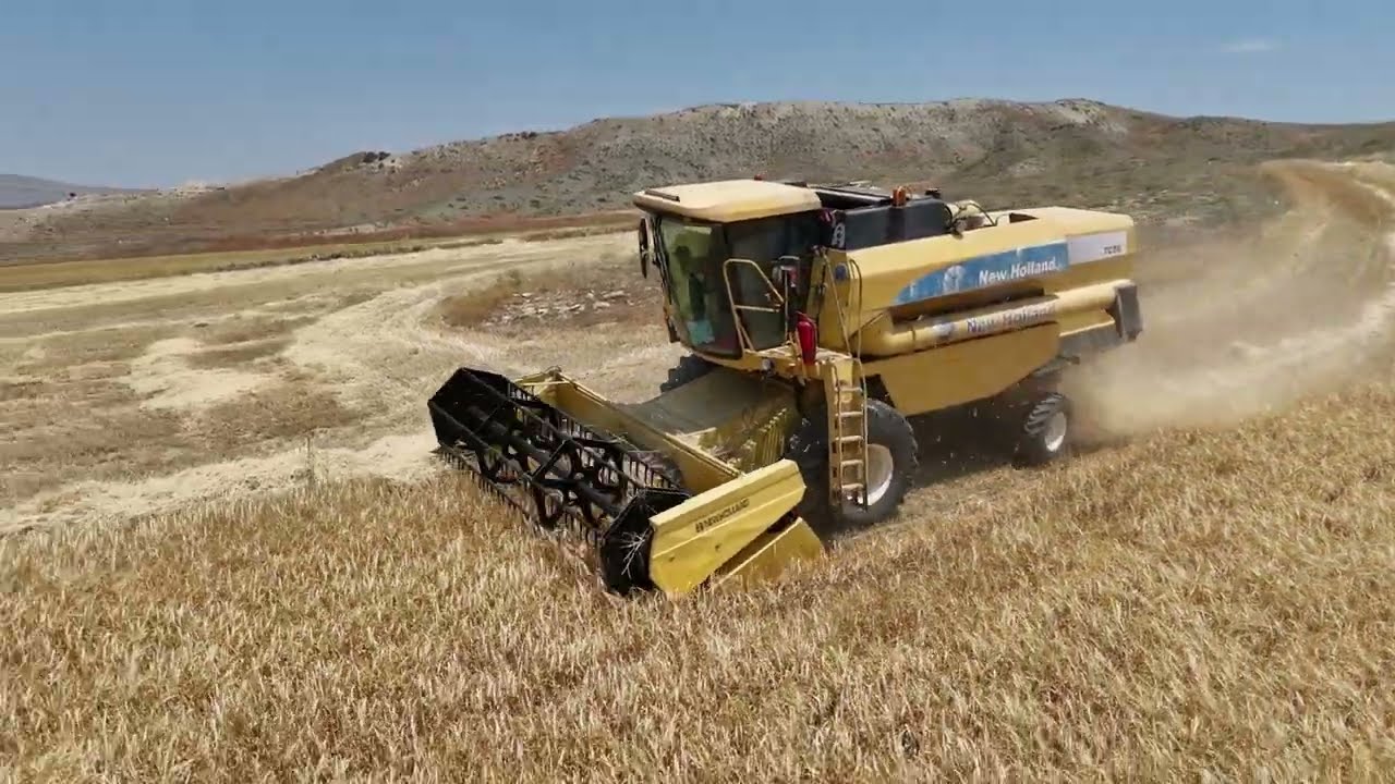 New holland TC56 biçerdöver ile buğday hasatı #newholland #biçerdöver