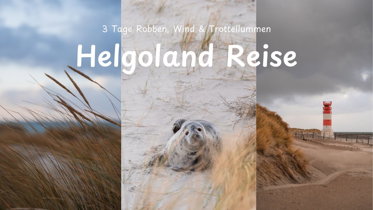 3 Tage unter Robben 🦭 Helgoland im Winter 🥶 