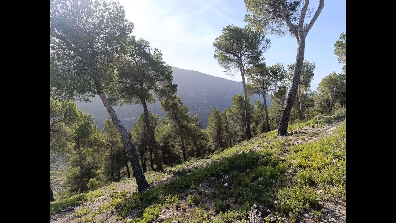 Ruta hacia la Casa Forestal de Ricote