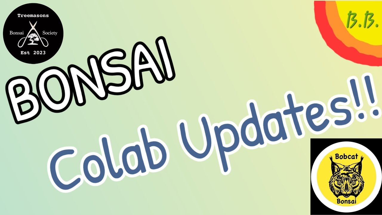 Bonsai Colab Update  @Bonsaicrazy @NotAnotherBonsaiChannel @BonsaiCornwall #treemasons #usa