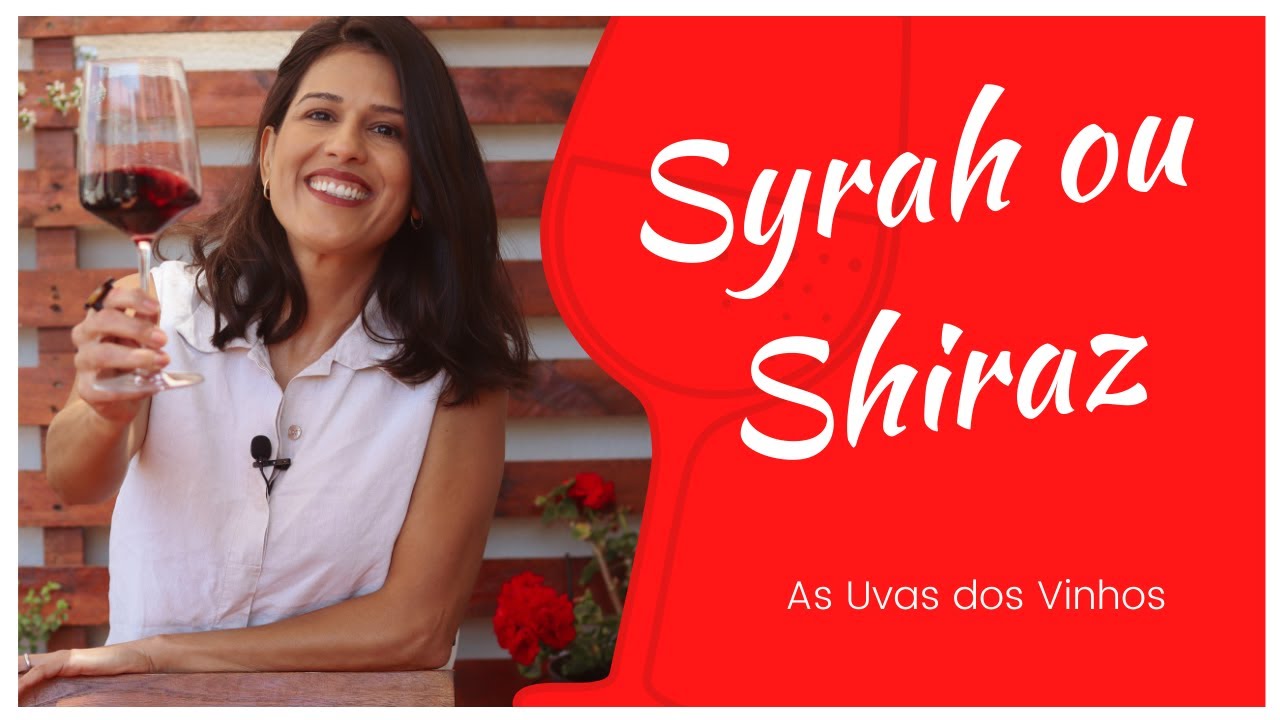 Syrah ou Shiraz - A uva do velho e novo mundo dos vinhos!