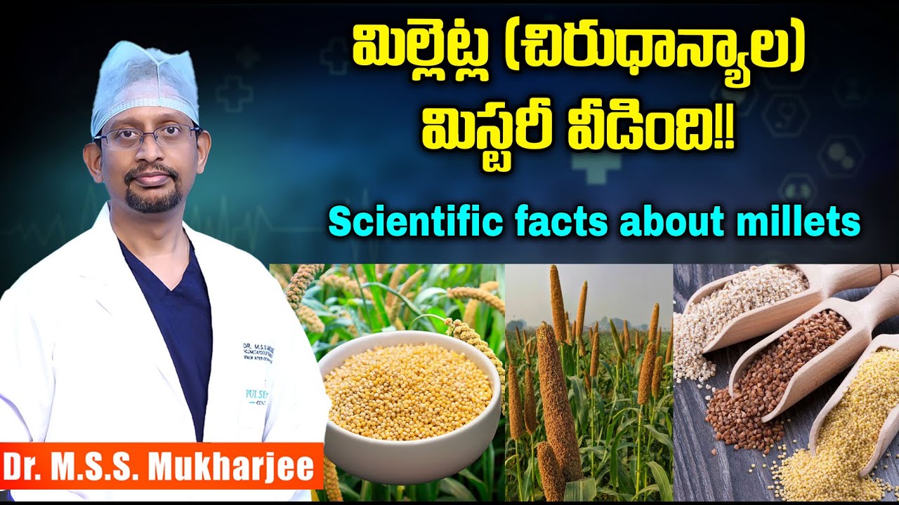 మిల్లెట్ల (చిరుధాన్యాల) మిస్టరీ వీడింది!!Scientific facts about millets.
