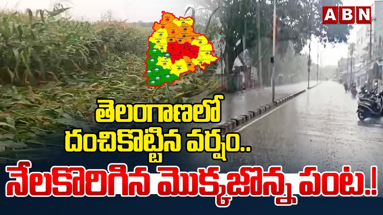 తెలంగాణలో దంచికొట్టిన వర్షం.. నేలకొరిగిన మొక్కజొన్న పంట.! | Heavy Rain In Telangana | ABN Telangana