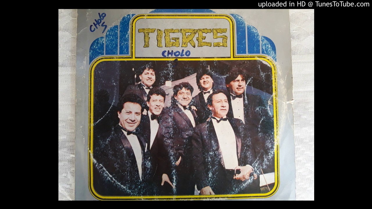 Los Tigres - amor sincero