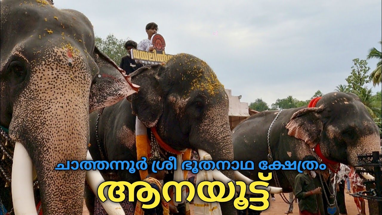 ആനയൂട്ട് ശ്രീ ഭൂതനാഥ ക്ഷേത്രം ചാത്തന്നൂർ | Aanayoottu Chathannur Sree Bhoothanatha temple