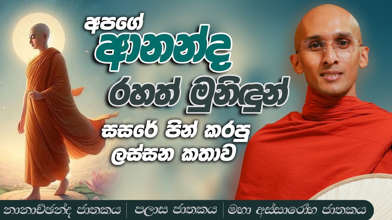 147. ආනන්ද මුනිඳුන් සසරේ පින් කරපු හැටි | නානාච්ඡන්ද ජාතකය | පලාස ජාතකය | මහා අස්සාරෝහ ජාතකය