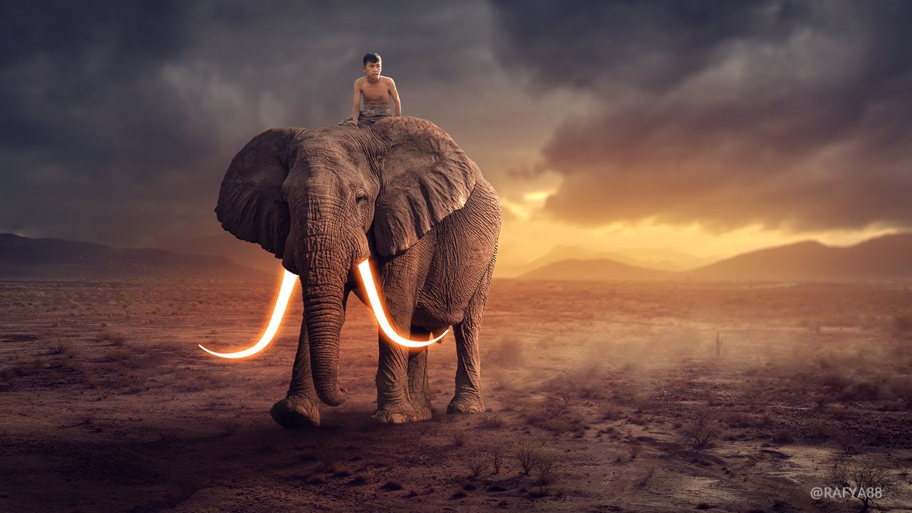 Photoshop Manipulation Tutorial Glow Elephant