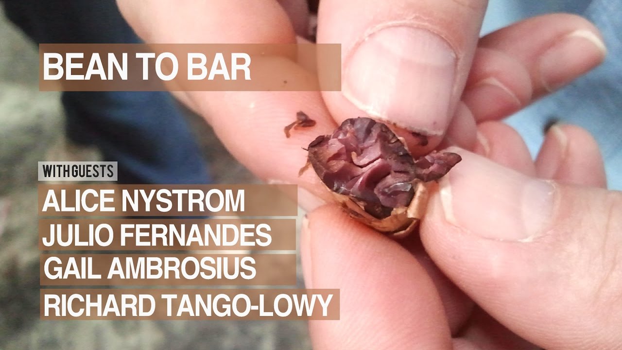 Chocolate Masters Hangout #1:  Dandelion Chocolate
