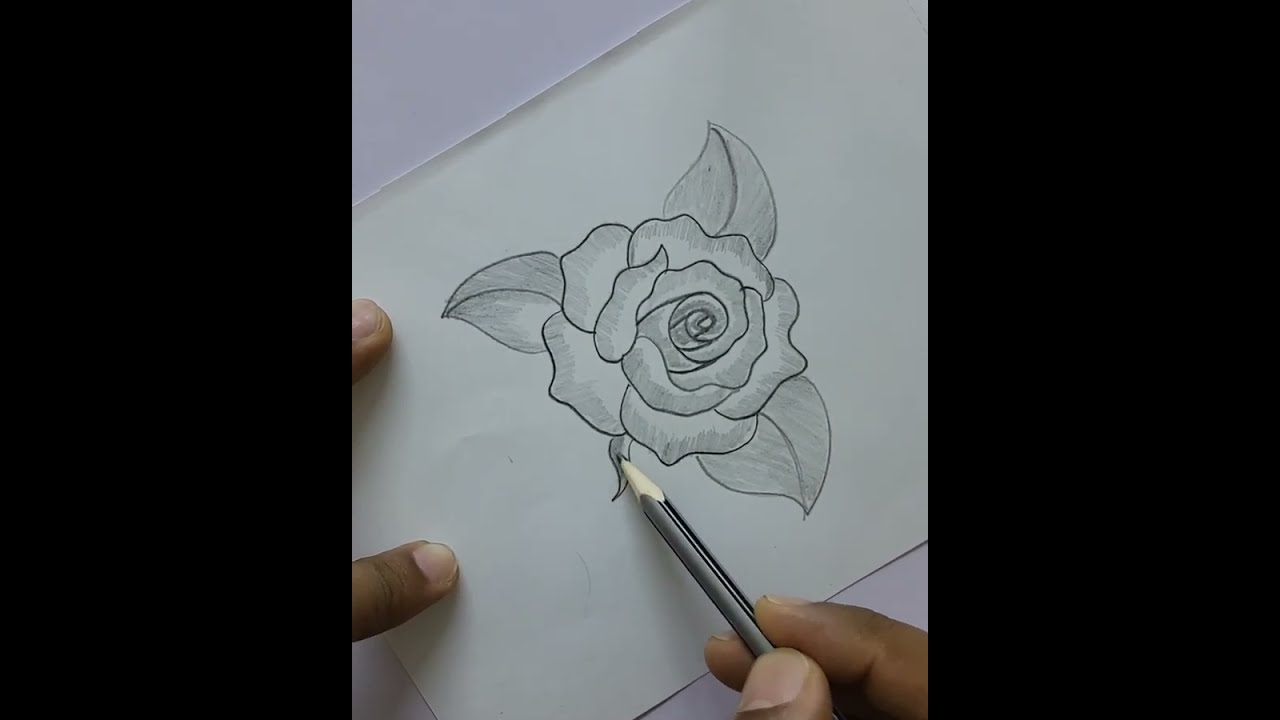 how to darw roseflowers# 3Drose#সহজে গোলাপ ফুল আঁট করুন,,
