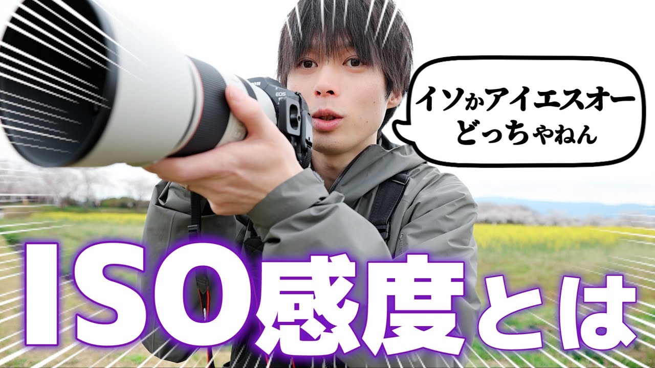 知らなかったでは済まされない！世界一わかりやすくISO感度について説明します